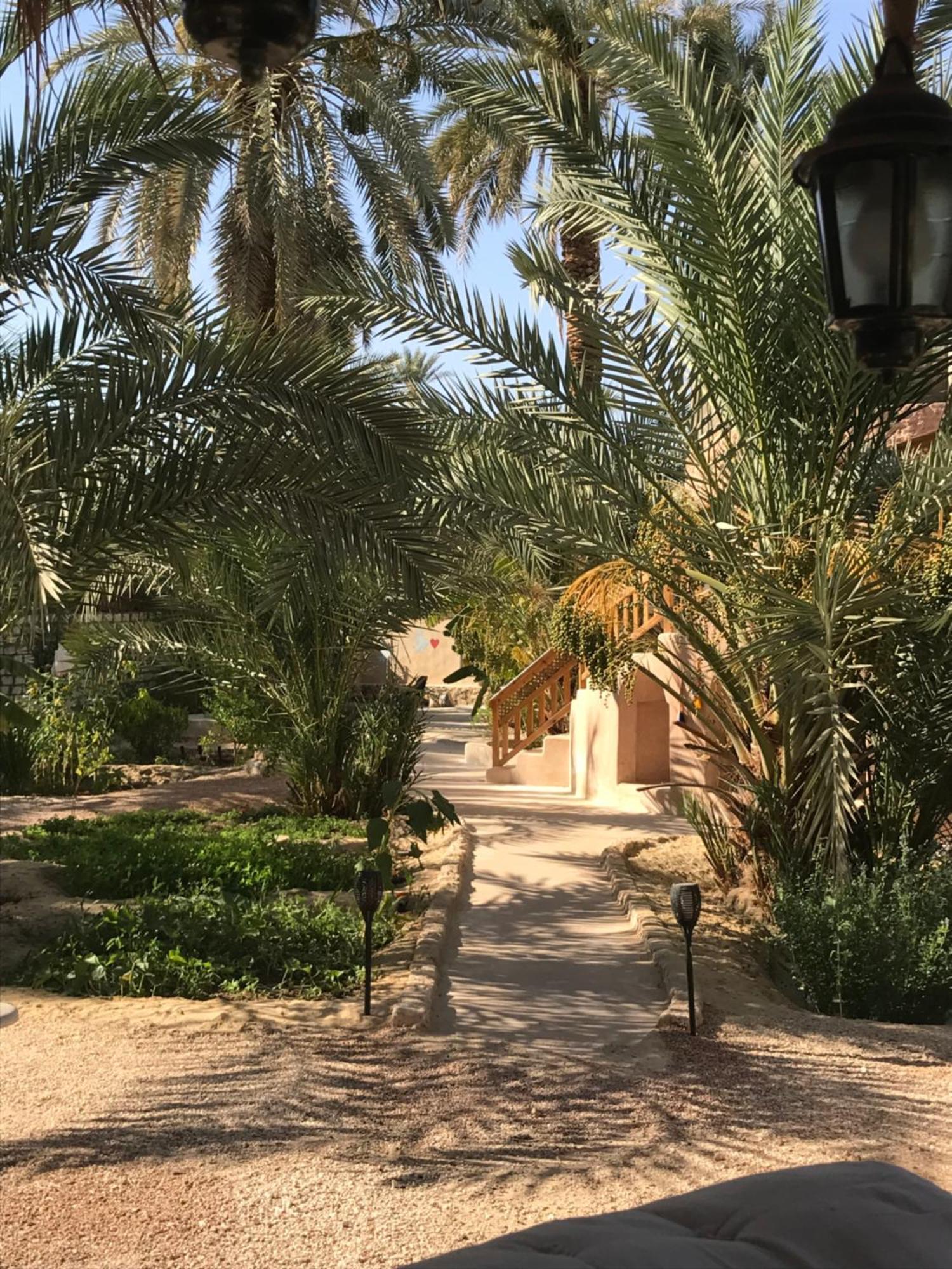 Apartamento Siwa Spot Siwa Oasis Exterior foto