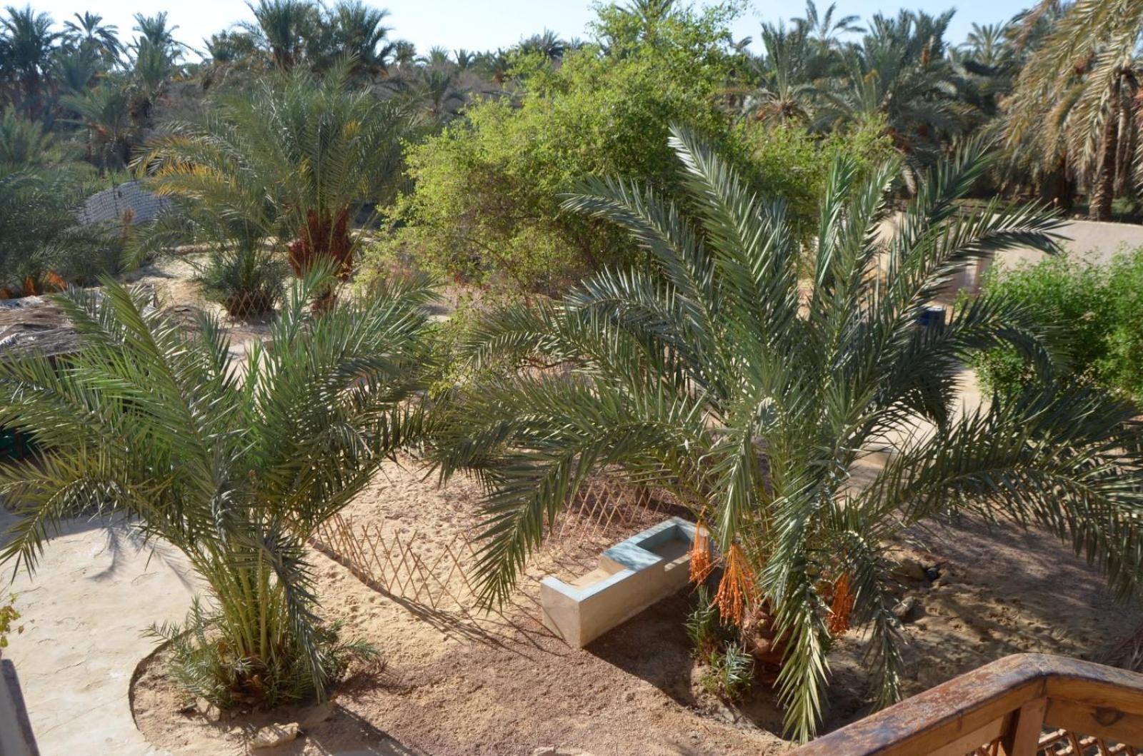 Apartamento Siwa Spot Siwa Oasis Exterior foto