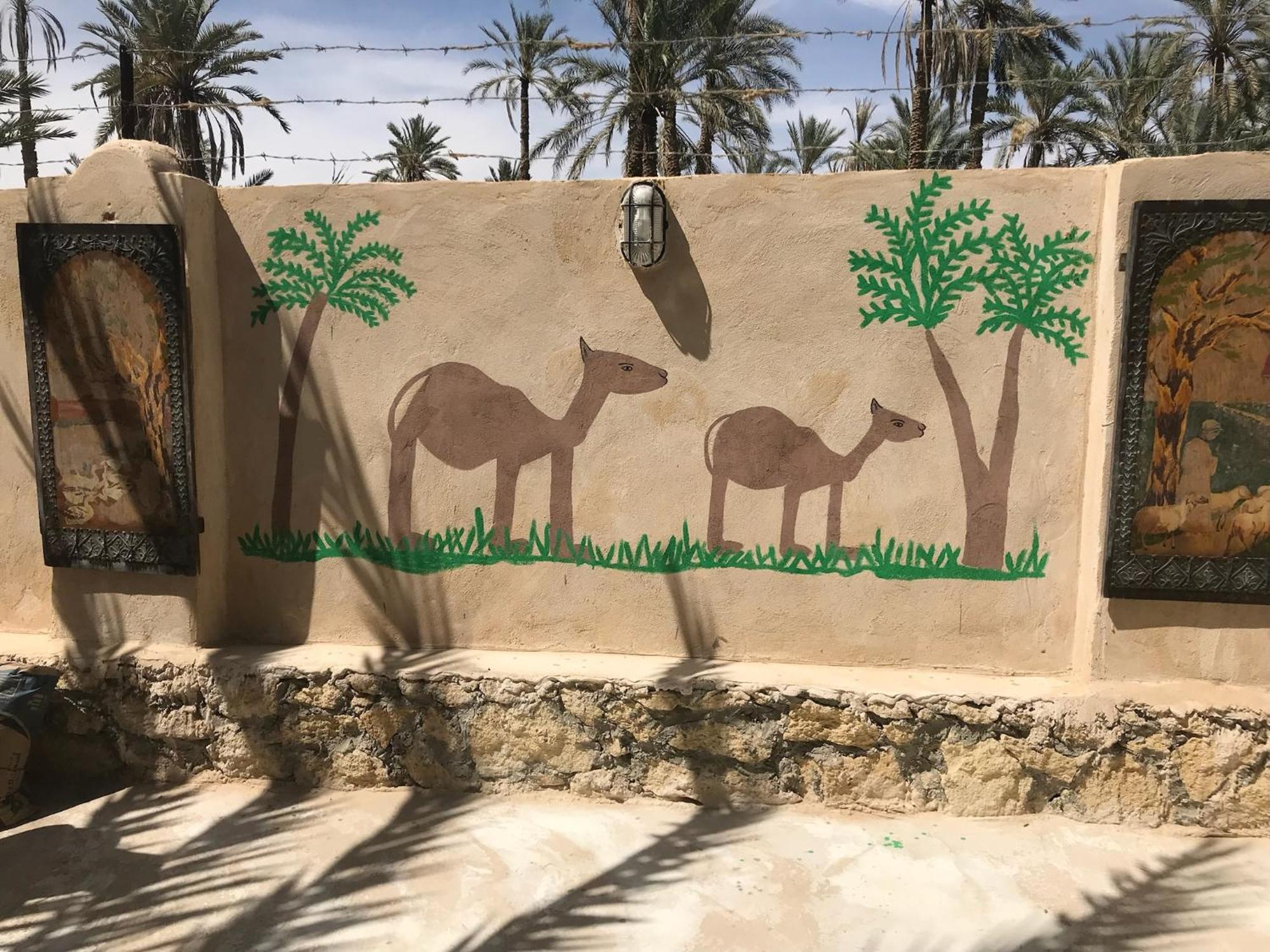 Apartamento Siwa Spot Siwa Oasis Exterior foto